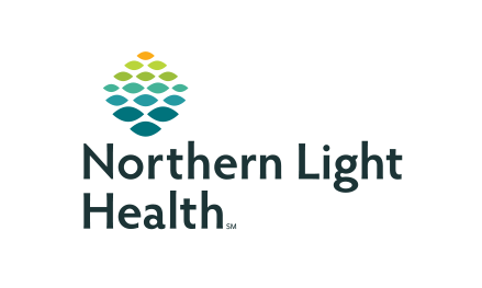 northern light health logo